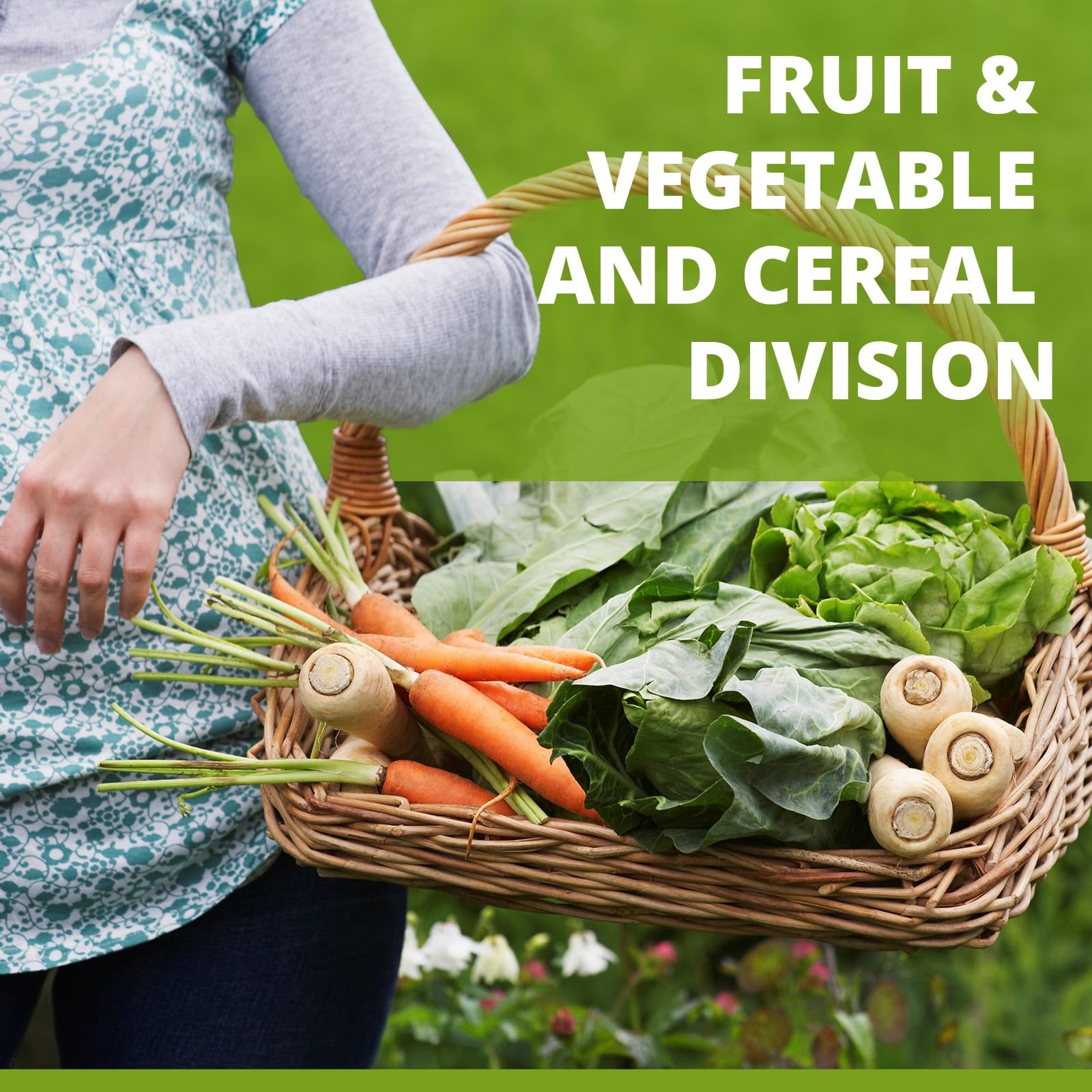 FRUIT, VEGETABLE and CEREAL DIVISION