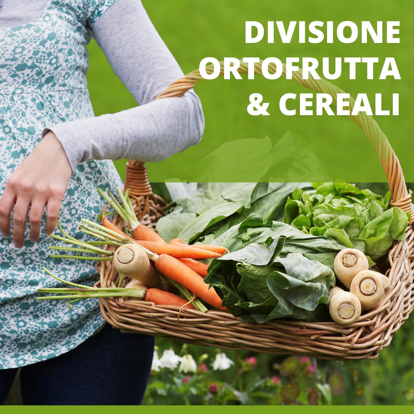 DIVISIONE ORTOFRUTTA E CEREALI