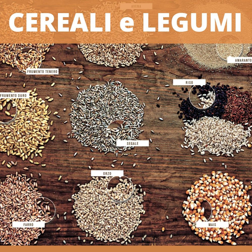 Cereali e legumi